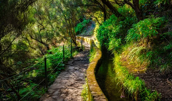 Polecane atrakcje - Levada dos 25 Fontes