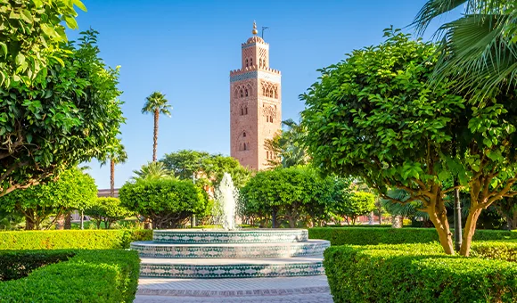 Polecane atrakcje - Marrakesz