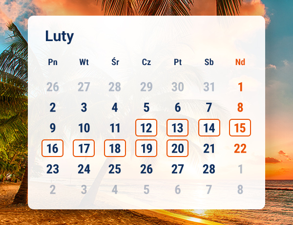 Sprawdź oferty na luty 2026