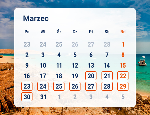 Sprawdź oferty na marzec 2026